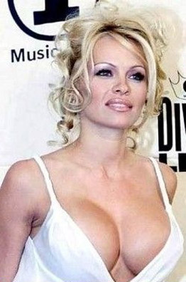 Pamela Anderson nahá. Fotka - 11